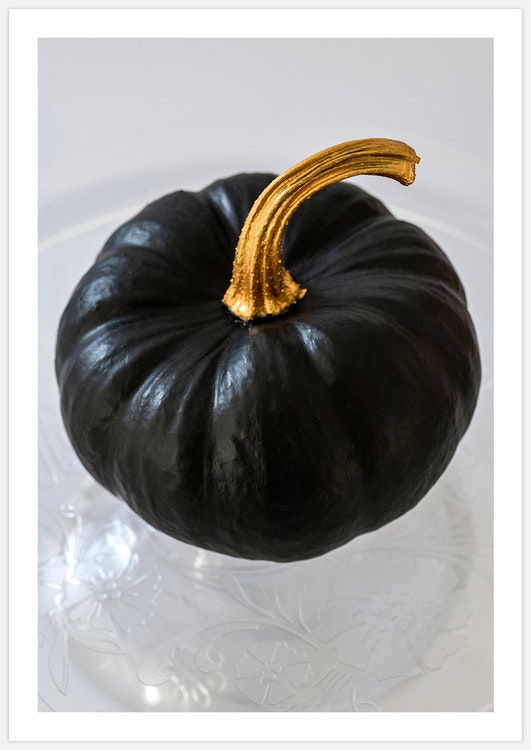 Black Pumpkin – Fine Art Print