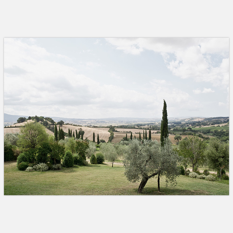 Tavla med Toscana landskap. Foto Insplendor Art Studio.