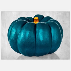 Turquoise Pumpkin – Fine Art Print