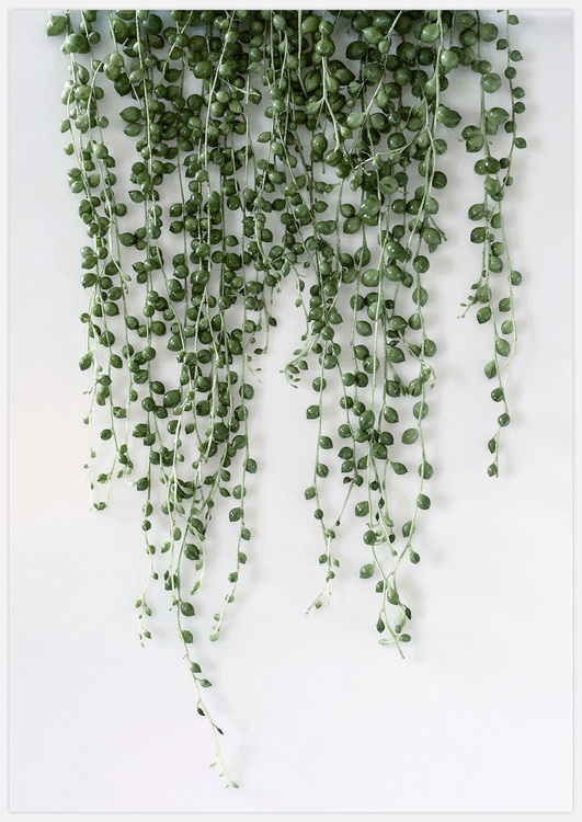 Tavelvägg Green Wall inspiration – Fine Art Print