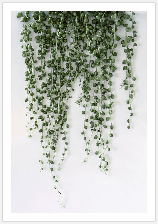 Tavelvägg Green Wall inspiration – Fine Art Print