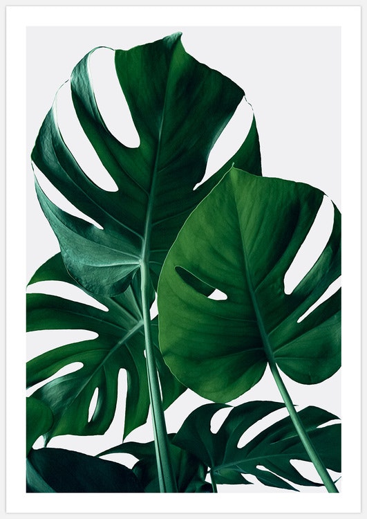 Tavelvägg Green Wall inspiration – Fine Art Print