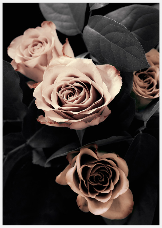 Tavelvägg Classical Roses inspiration – Fine Art Print