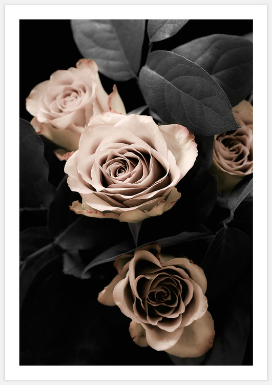 Tavelvägg Classical Roses inspiration