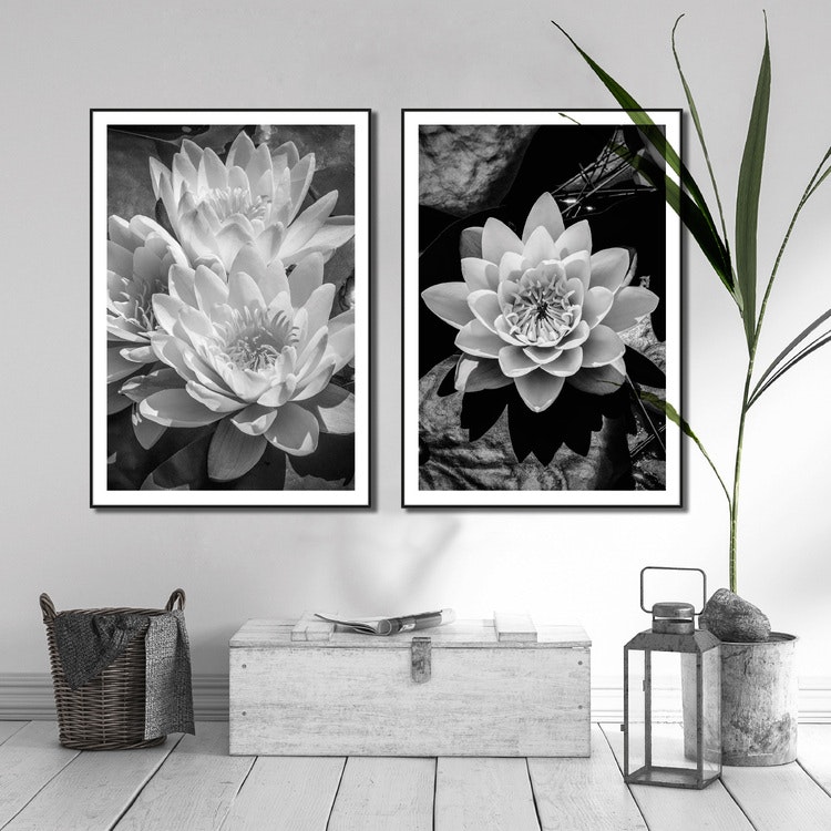 Tavelvägg Water Lilies inspiration – Fine Art Print