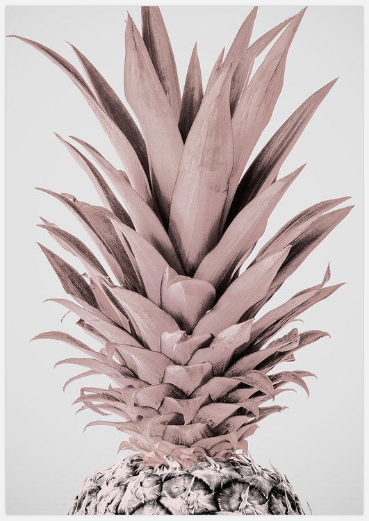 Tavla ljusrosa ananas av Insplendor Art Studio.