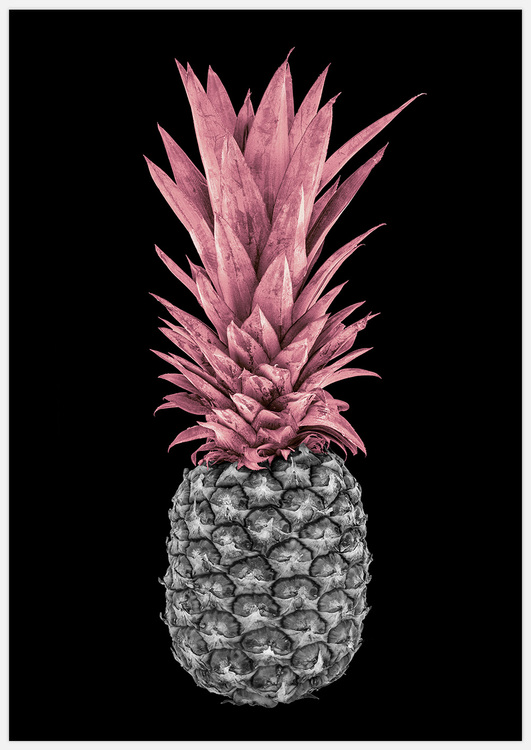 Pink Pineapple on Black – Fine Art Print