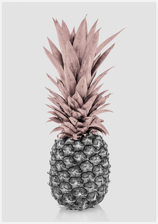 Light Pink Pineapple 2 Art Print