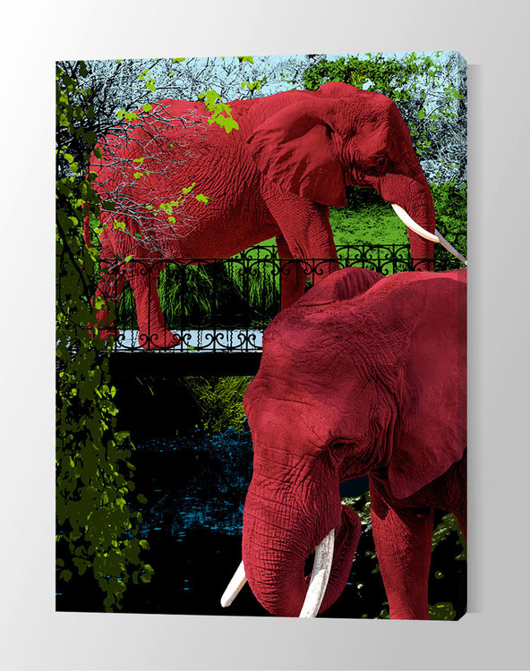 Elephant Park 2 Canvas