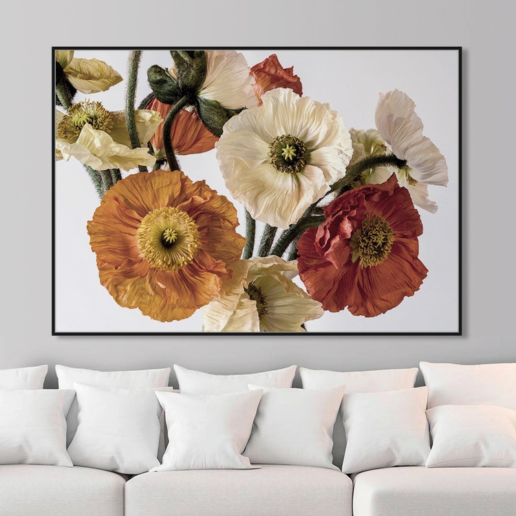 Light-coloured Poppies Art Print