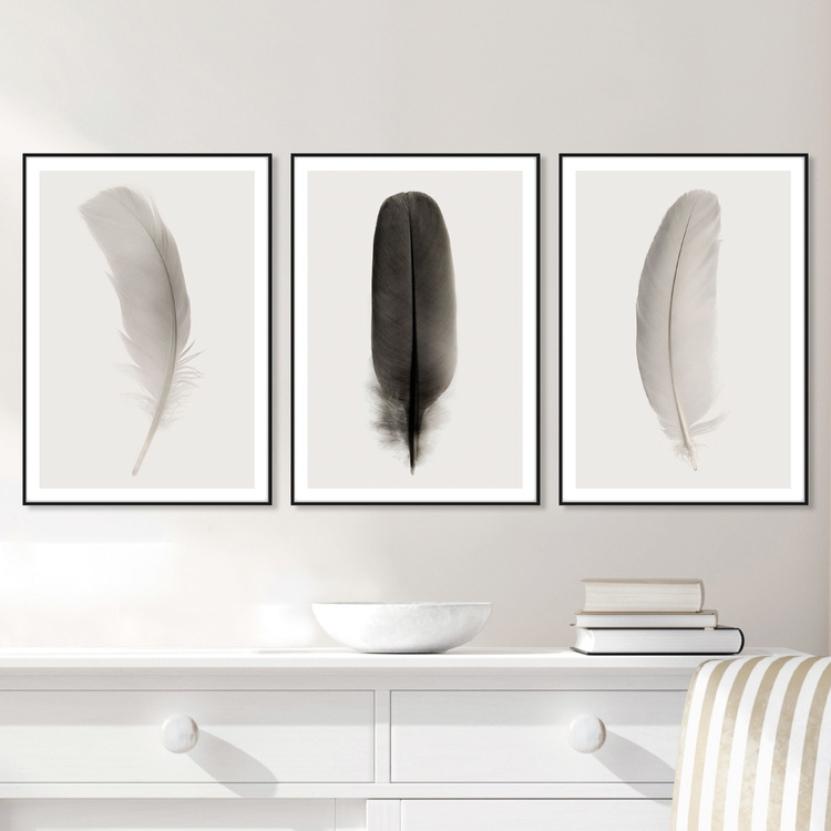 Black Feather – Fine Art Print