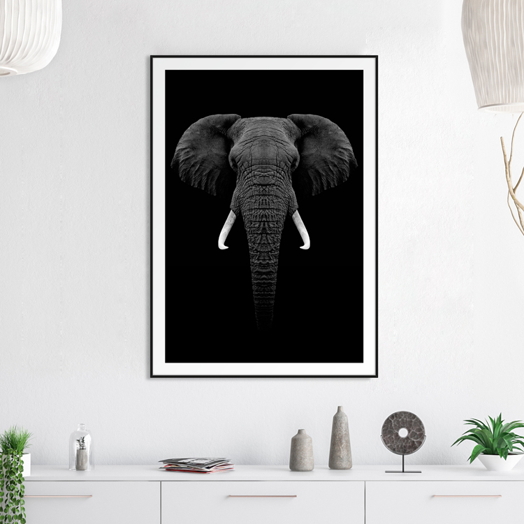 Elephant close up – Fine Art Print