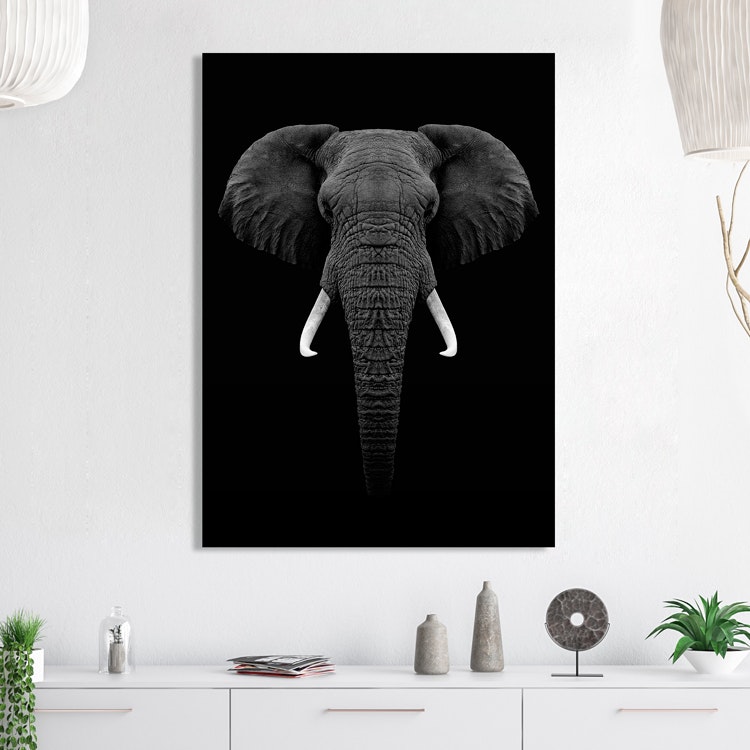 Elephant on Canvas