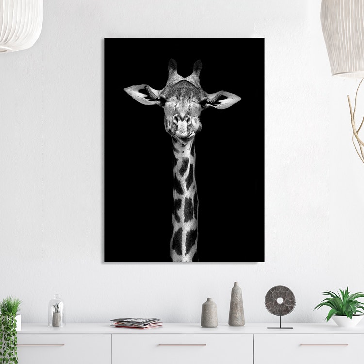 Giraff on Canvas