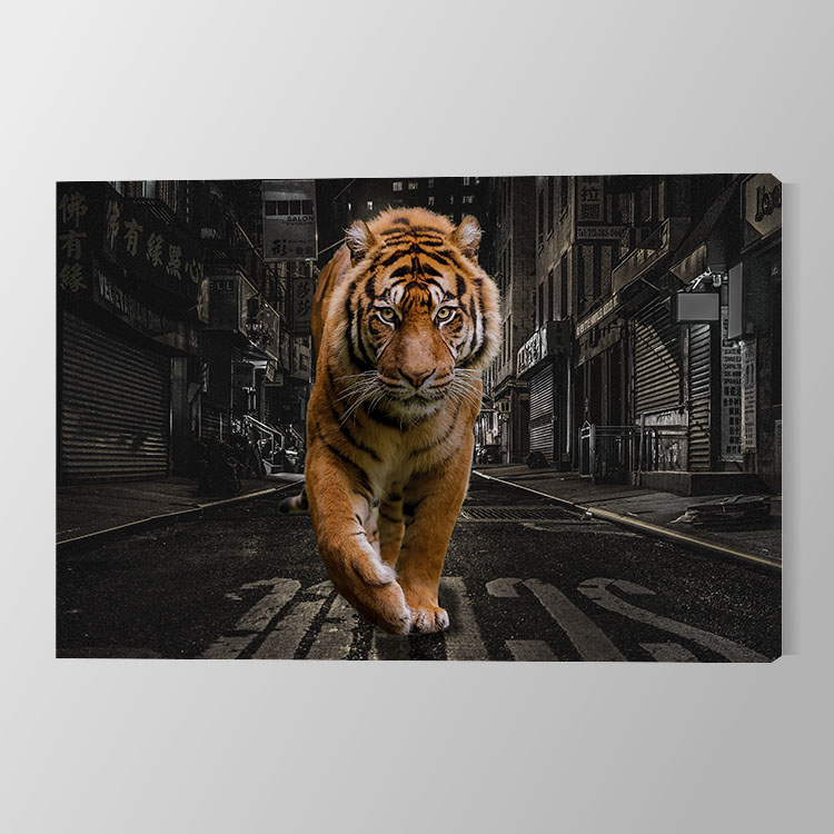 City Tiger Canvas