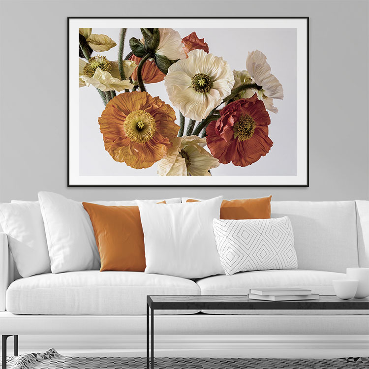 Light-coloured Poppies inspiration – Fine Art Print