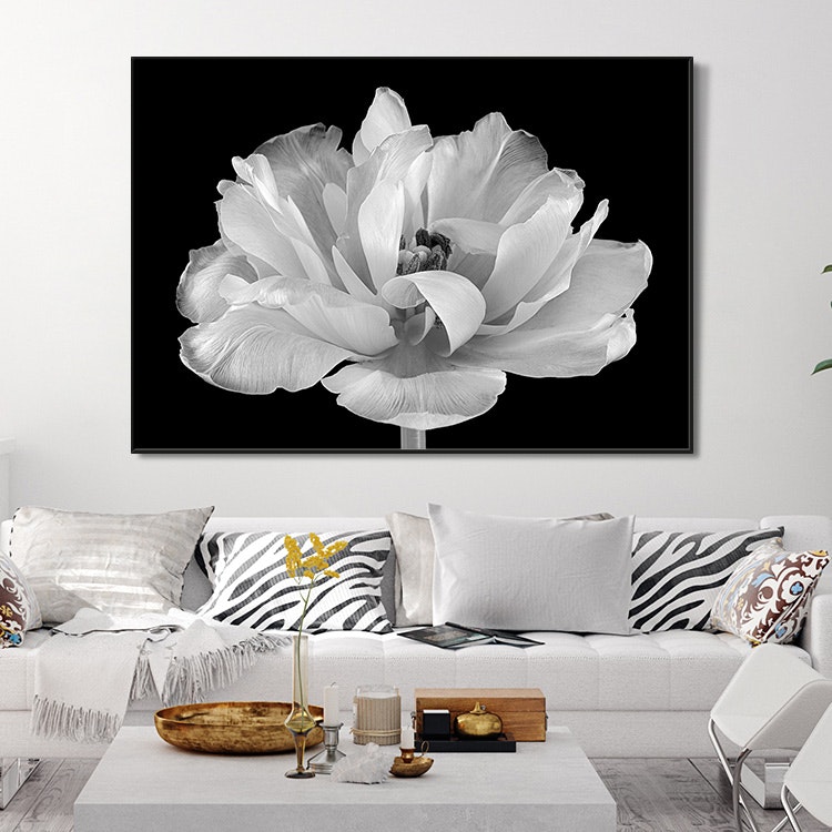 Tulip in its glory inspiration – Fine Art Print