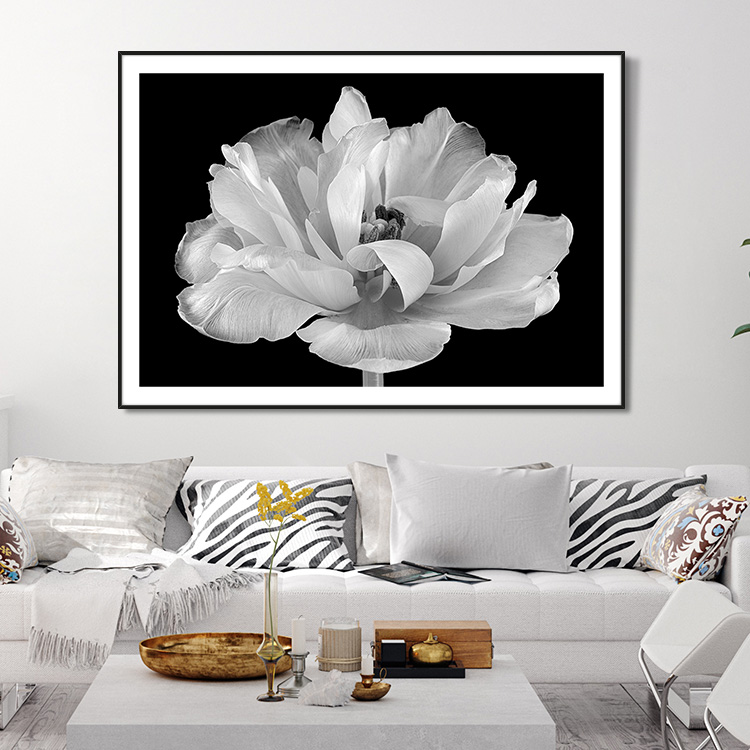 Tulip in its glory inspiration – Fine Art Print