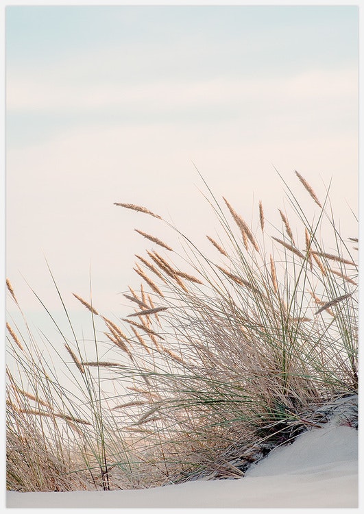 Reeds by the sea Art Print