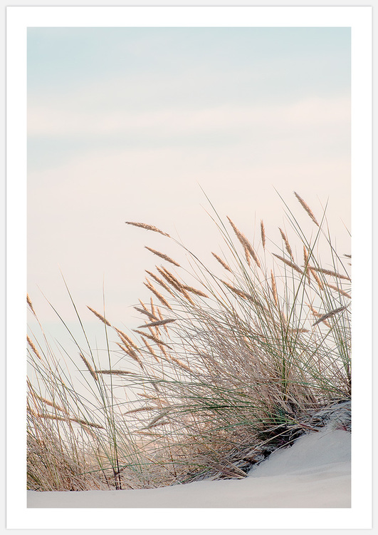 Reeds by the sea Art Print