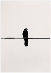 Crow on a wire Art Print