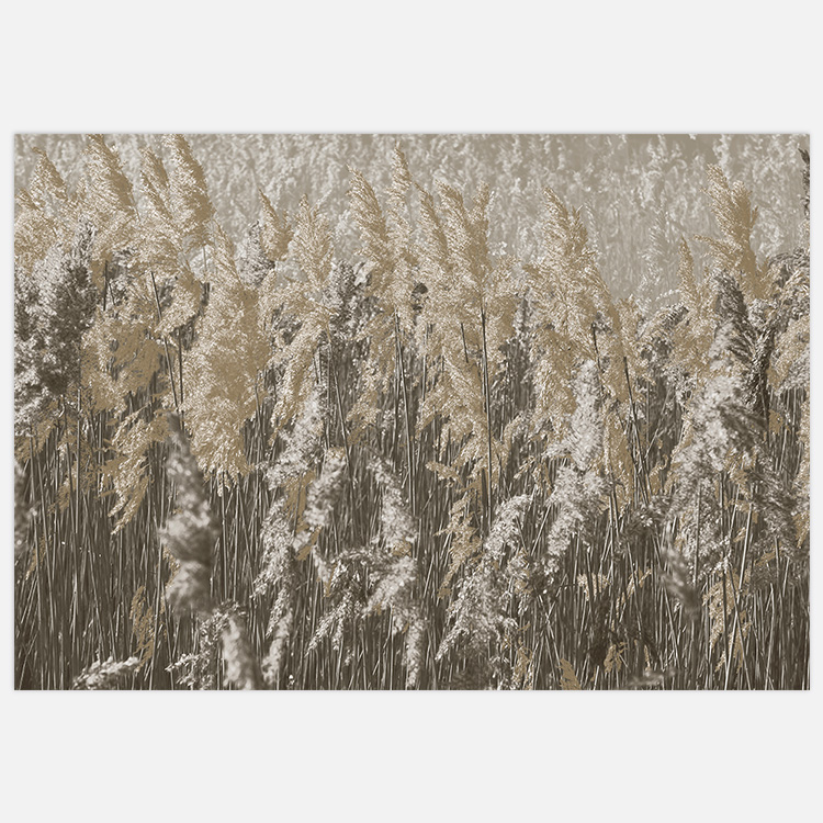 Reeds Art – Art Print