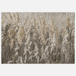 Reeds Art – Art Print
