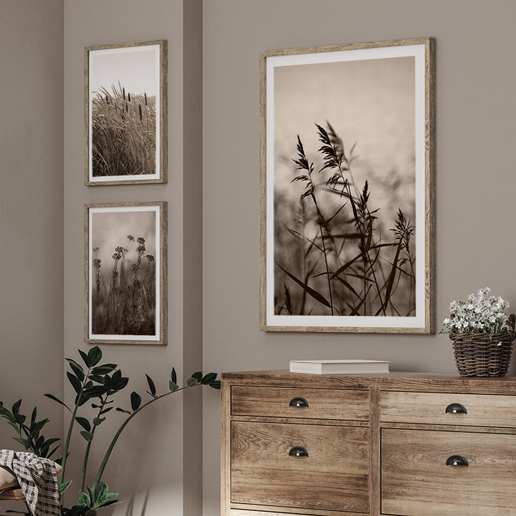 Tavelvägg Reeds and Meadow – Fine Art Print