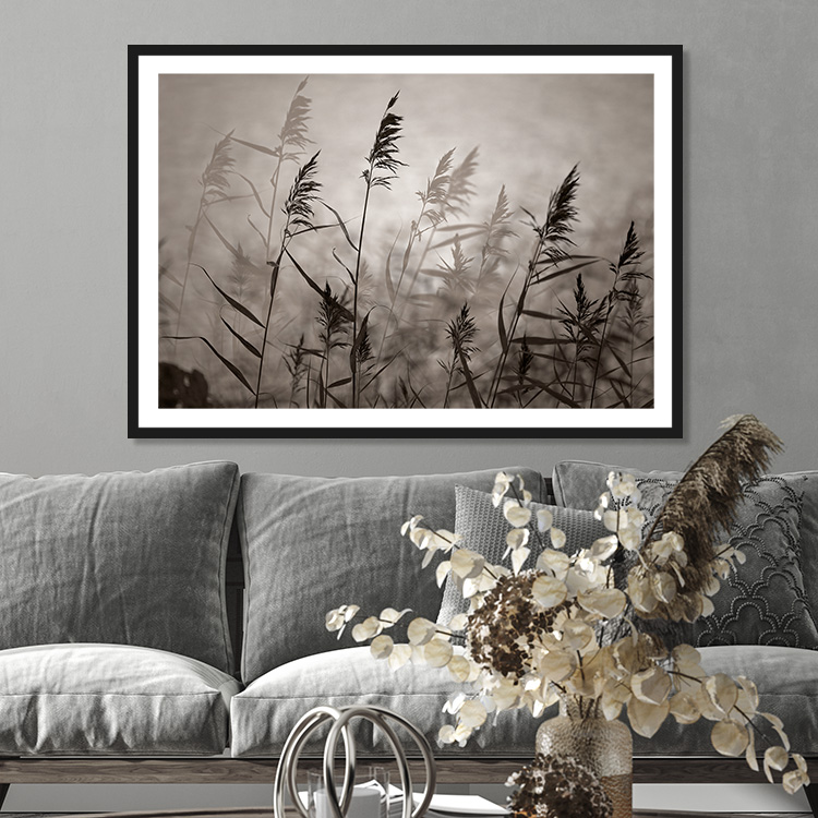 Reeds in evening light warm inspiration – Fine Art Print