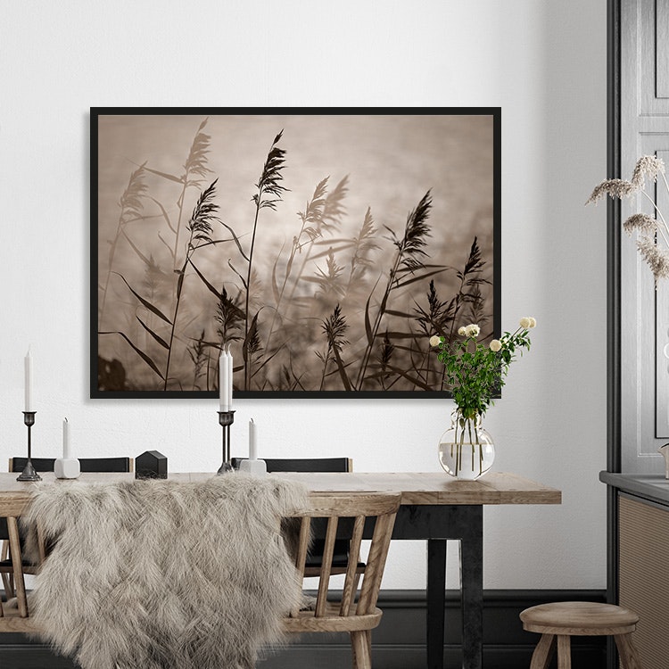 Reeds in evening light inspiration – Fine Art Print