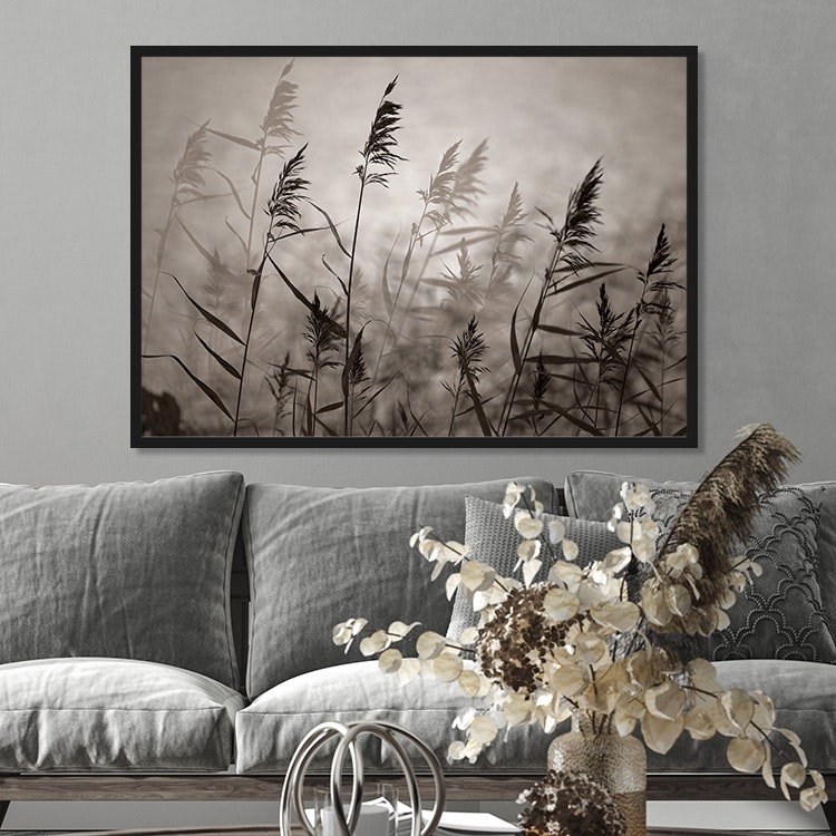 Reeds in Evening Light Warm Art Print