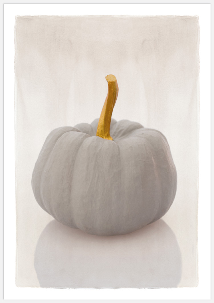 Tavelvägg Pumpkin – Fine Art Print
