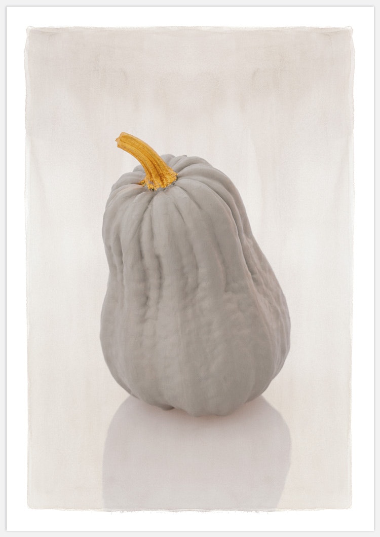 Tavelvägg Pumpkin – Fine Art Print