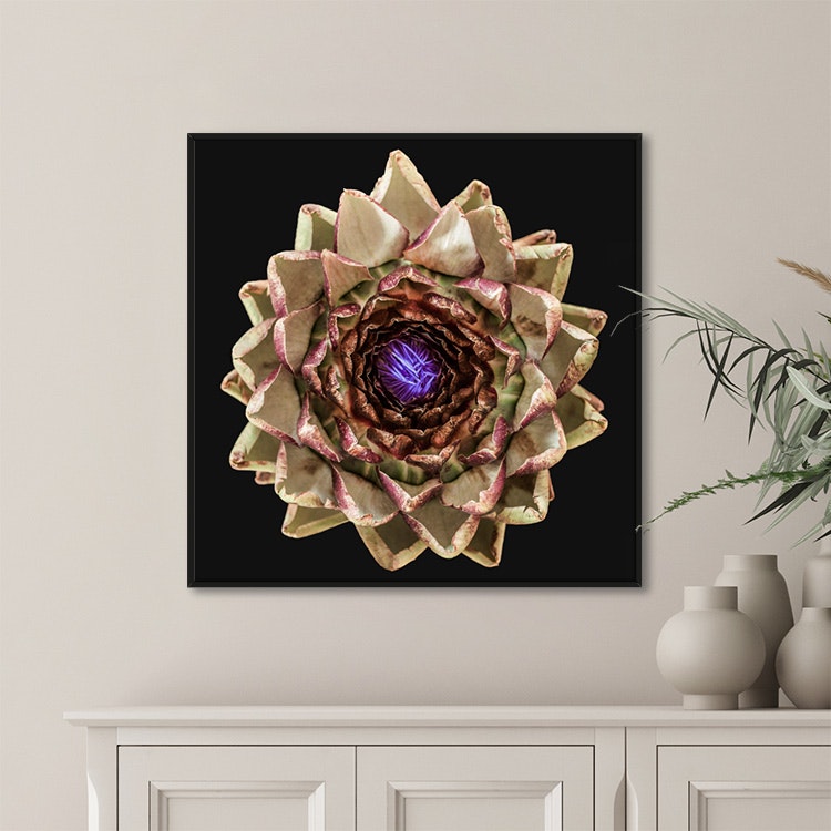 The Artichoke inspiration – Fine Art Print