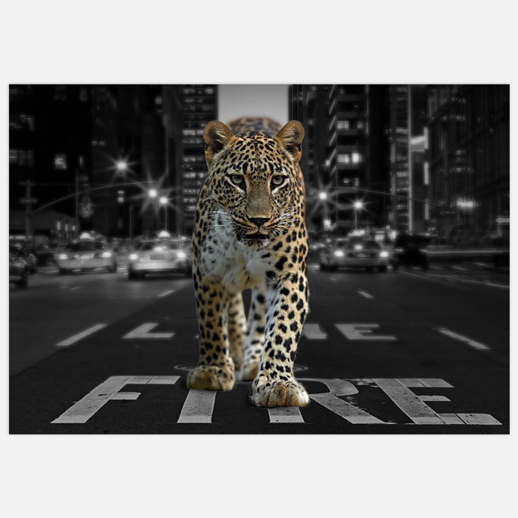 City Leopard – Fine Art Print