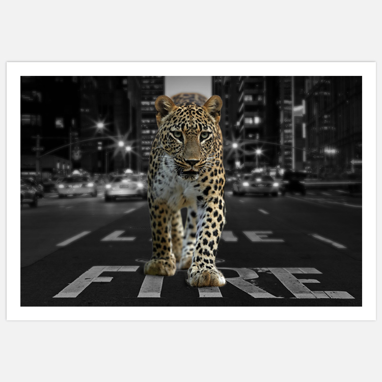 City Leopard Inspiration – Fine Art Print