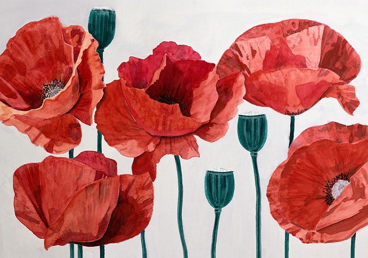 Painted Poppy Canvas