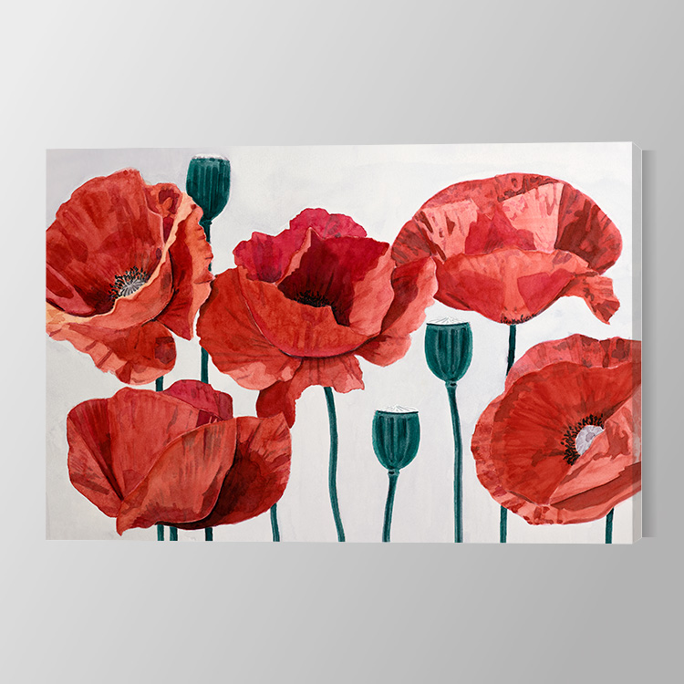 Painted Poppy Canvas