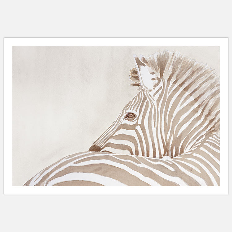 Zebra in beige – Fine Art Print