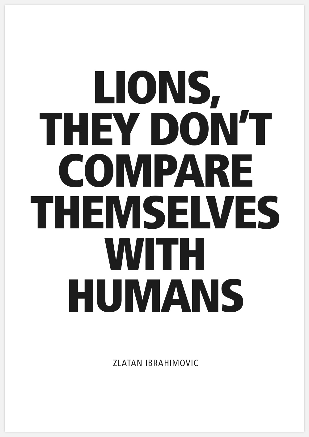 Lions they don't compare