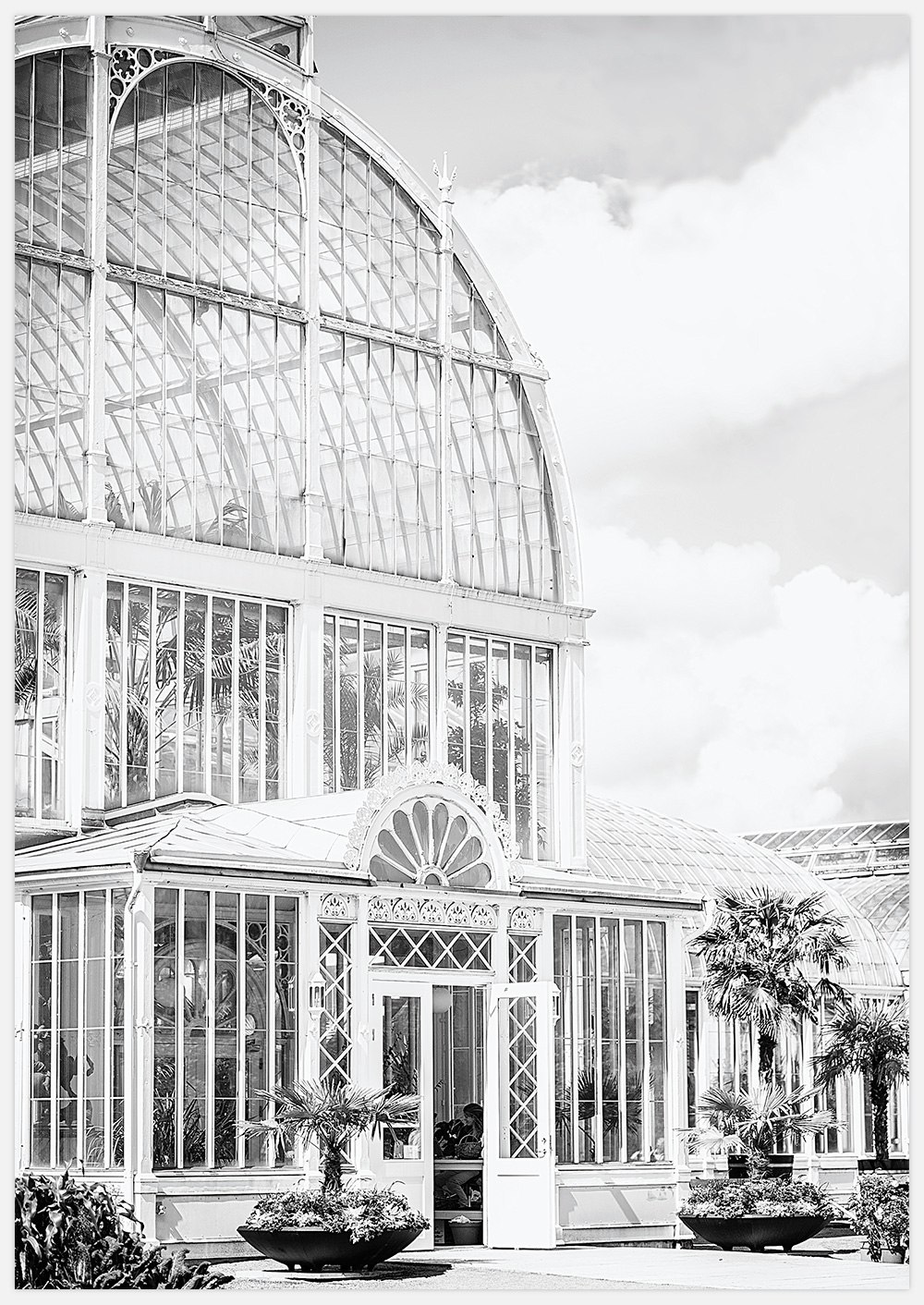 Botanical Garden – Fine Art Print