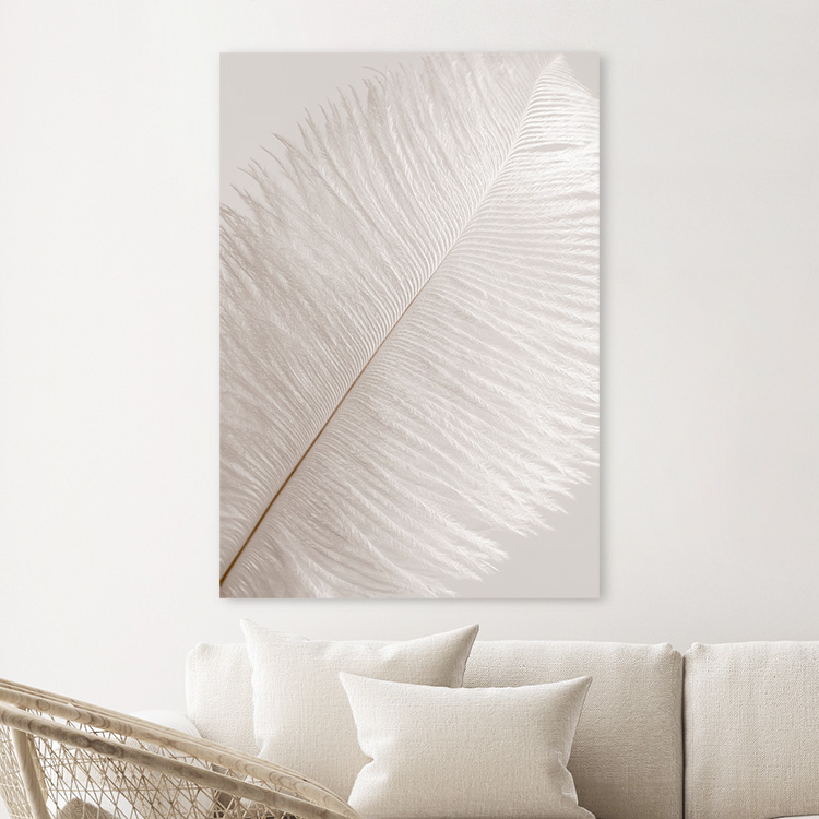 Soft Feather Canvas