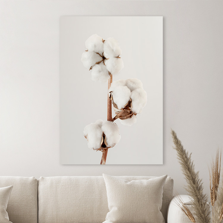 Cotton Flower Canvas