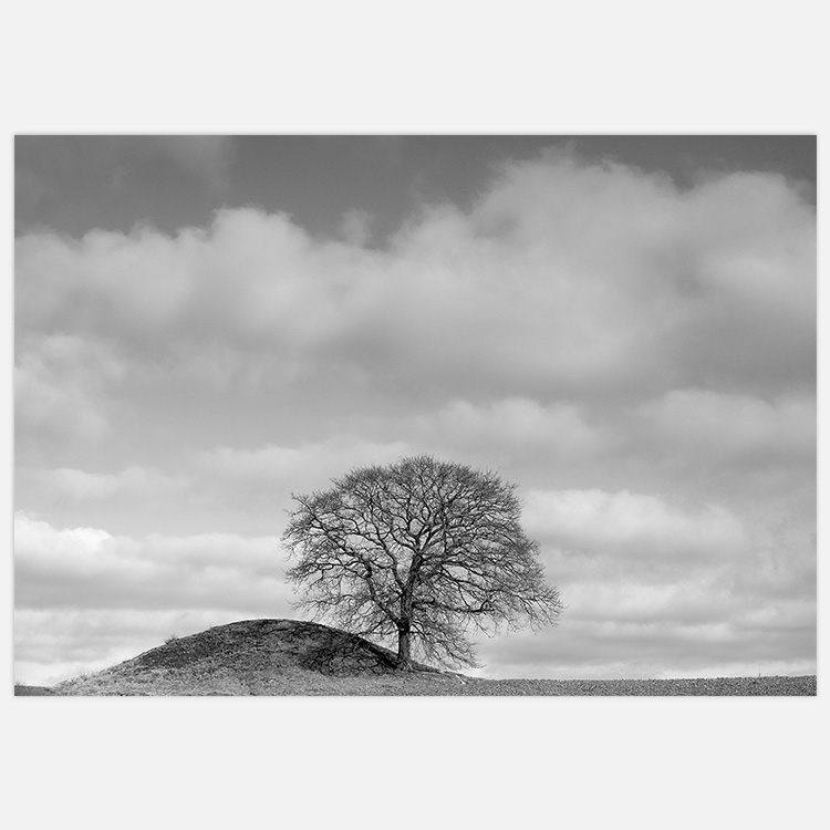 Produktbild på svartvit fototavla med himmel, träd och kulle. Fotokonst skapad av Insplendor Art Studio i Sverige.