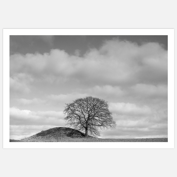 Produktbild på svartvit fototavla med himmel, träd, kulle och vit marginal. Fotokonst skapad av Insplendor Art Studio i Sverige.