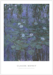 Blue Water Lilies with Text Art Print