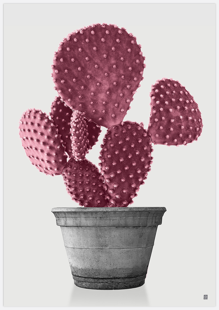 Pink Cactus 2 Art Print