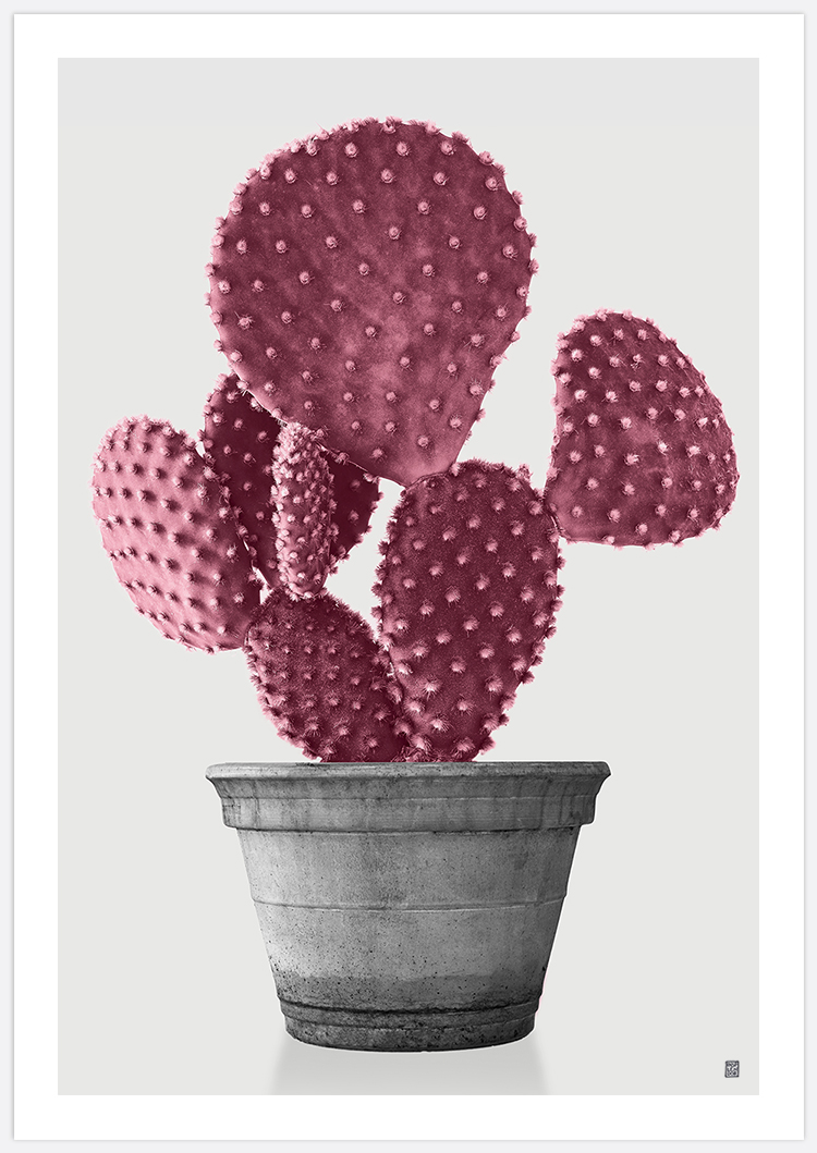 Pink Cactus 2 Art Print