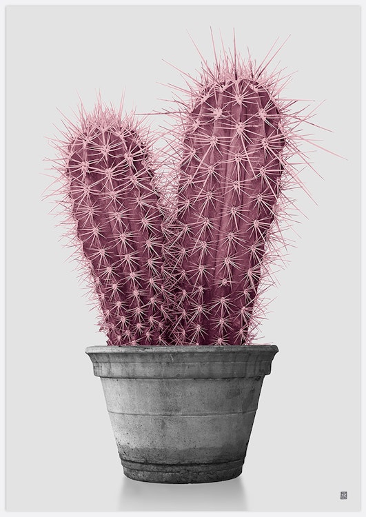 Pink Cactus Art Print