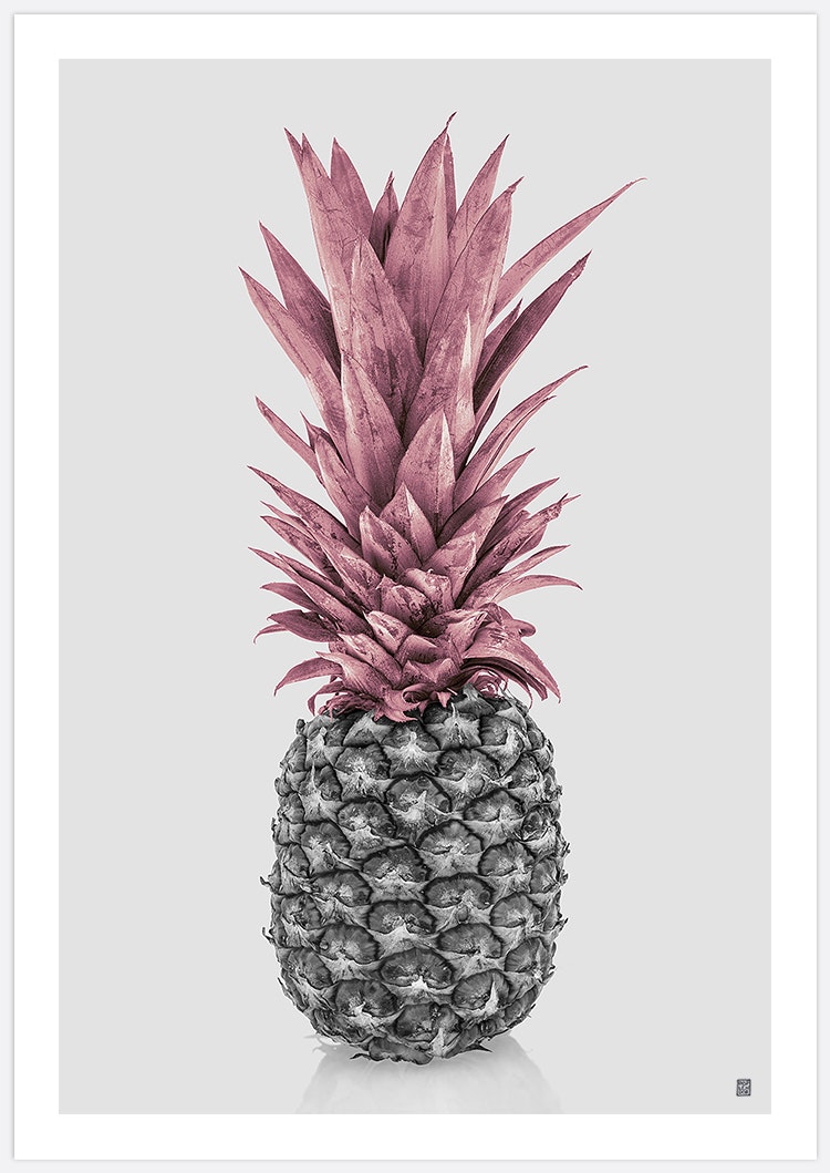 Tavla rosa ananas, fotokonst av Insplendor Art Studio i Sverige.